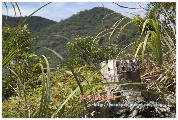 內湖062.jpg 內湖062.jpg