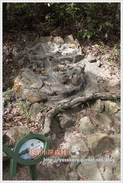 內湖066.jpg 內湖066.jpg