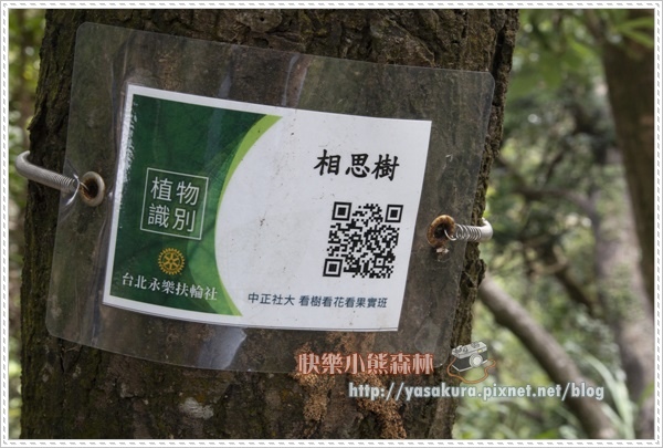 內湖067.jpg 內湖067.jpg