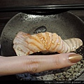 炙鮭魚握壽司特寫