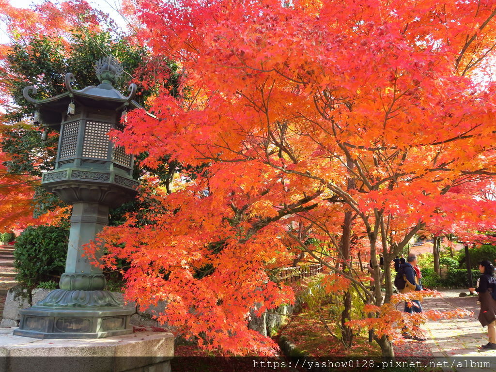 18京都賞楓 真如堂真正極樂寺 11月29日 京都免費賞楓名所 火紅楓葉讓人陶醉 沒有擁擠的人潮 走起來很有品質 非常推薦 哈比小叮噹的小小窩 痞客邦