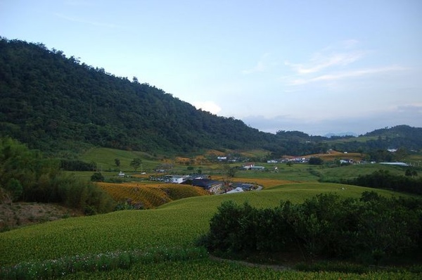 花蓮赤柯山