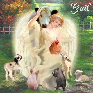 AngelFarmAnimals_ AngelFarmAnimals_