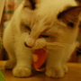 DSC_0017.JPG DSC_0017.JPG