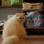DSC_0014.JPG DSC_0014.JPG