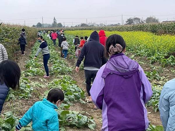 【療癒廚房】懷念古早味手作米漿蘿蔔糕 【療癒廚房】懷念古早味手作米漿蘿蔔糕