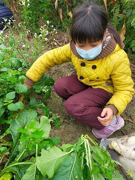 【療癒廚房】懷念古早味手作米漿蘿蔔糕 【療癒廚房】懷念古早味手作米漿蘿蔔糕