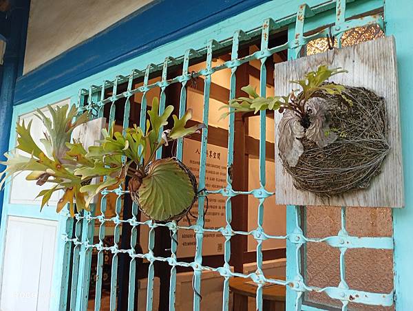 台南西港美食【果實咖啡】小孩也愛的三合院 台南西港美食【果實咖啡】小孩也愛的三合院