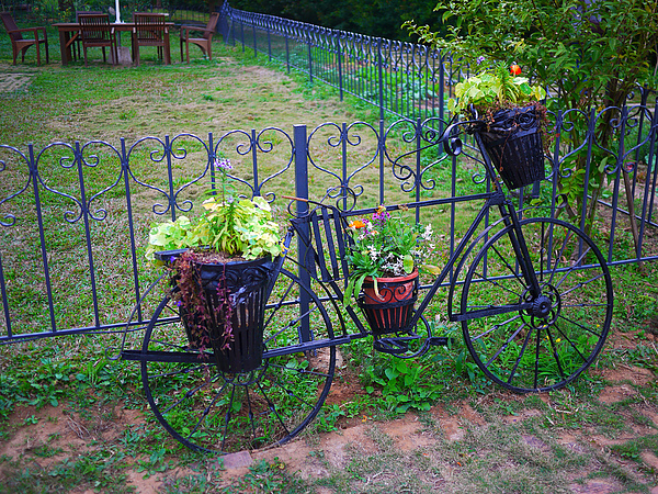 flower_bicycle.jpg flower_bicycle.jpg