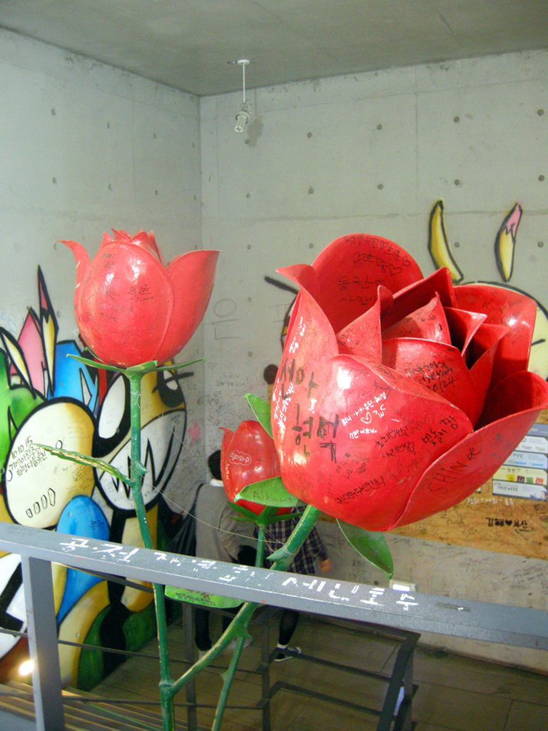 rose1 rose1
