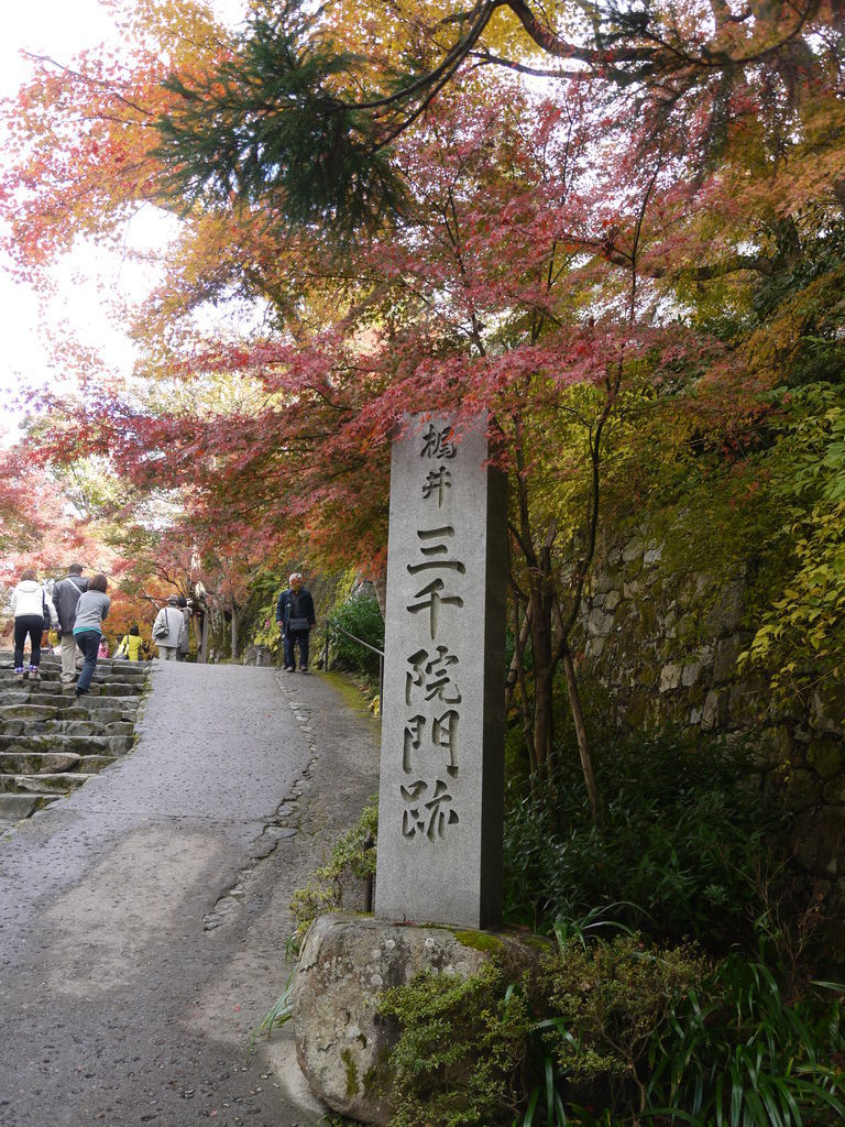 temple sign