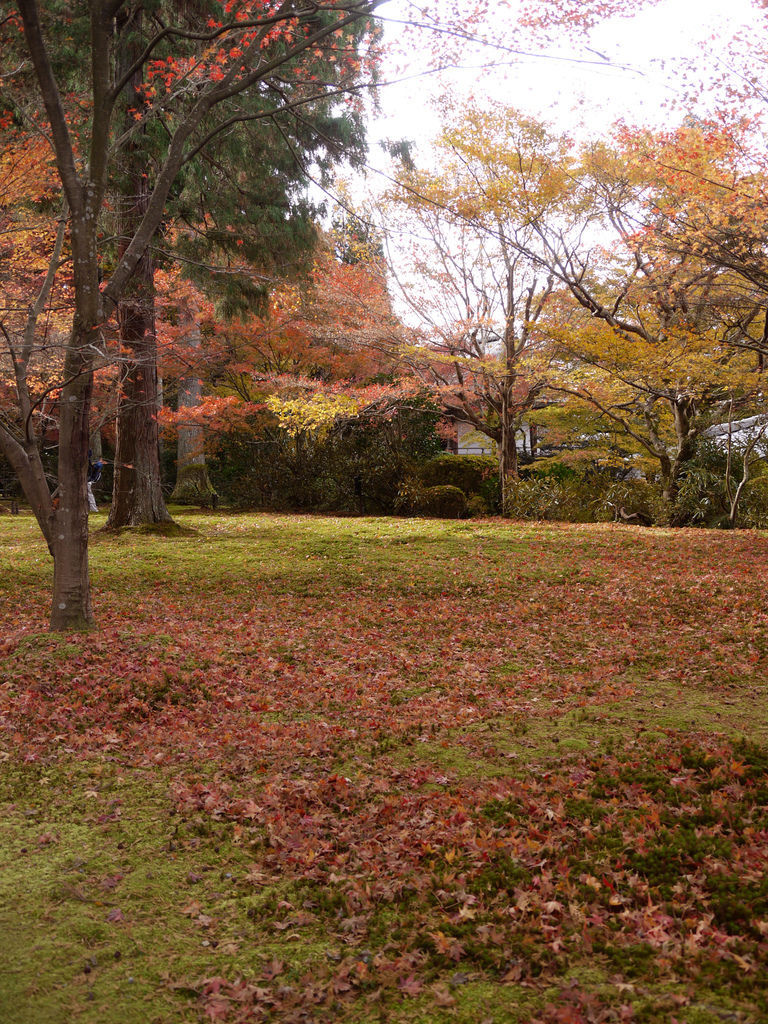 有清園1 有清園1