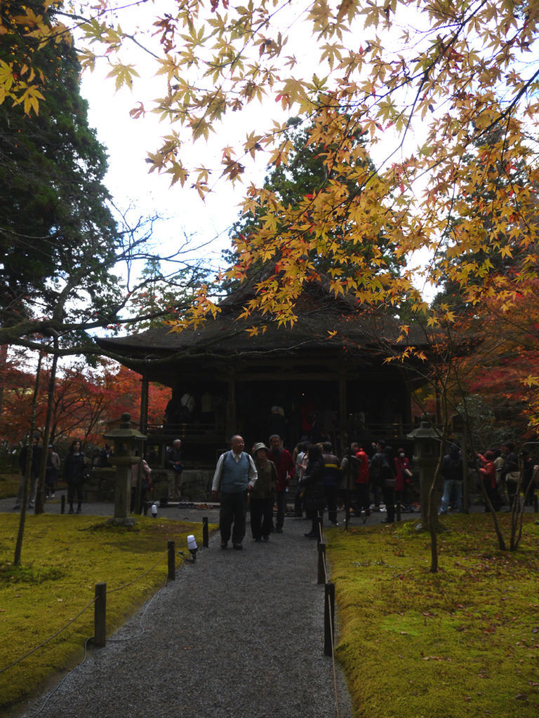 極樂院2 極樂院2