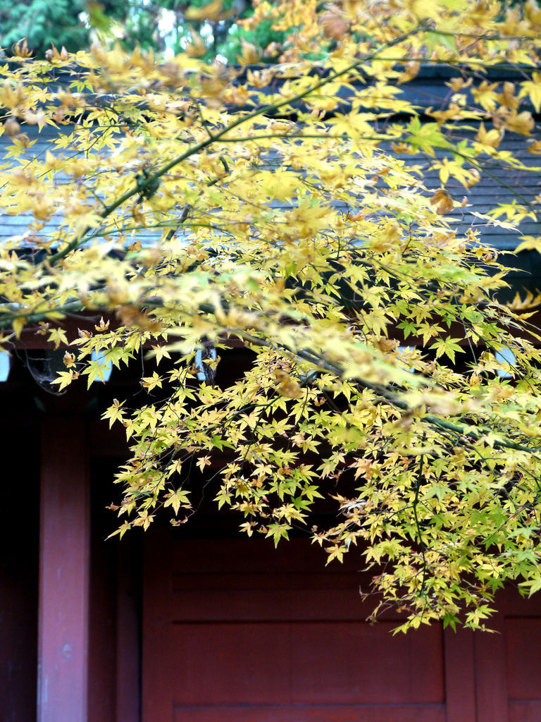 red door2 red door2