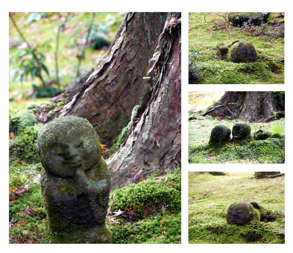 budda_all budda_all