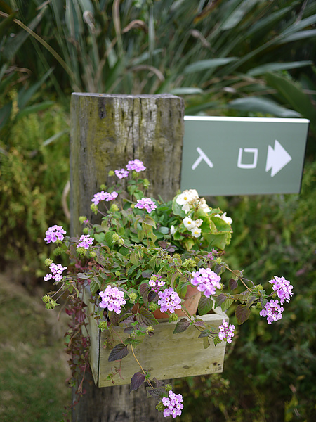 entrance_flower.jpg entrance_flower.jpg