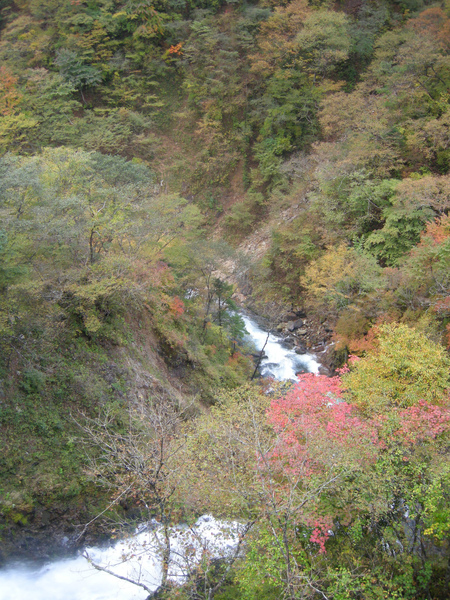 nikko_waterfall_view1.jpg