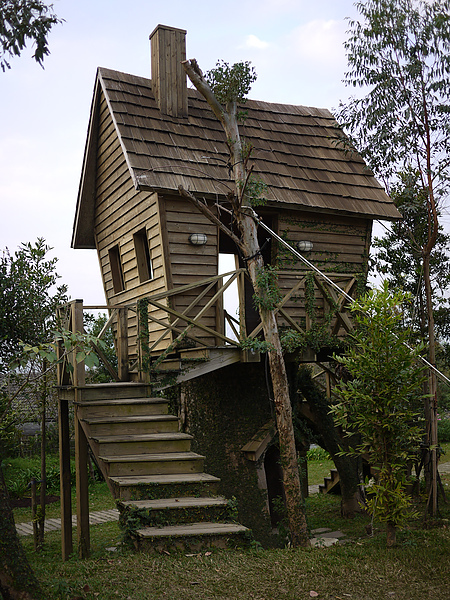 treeHouse_large.jpg