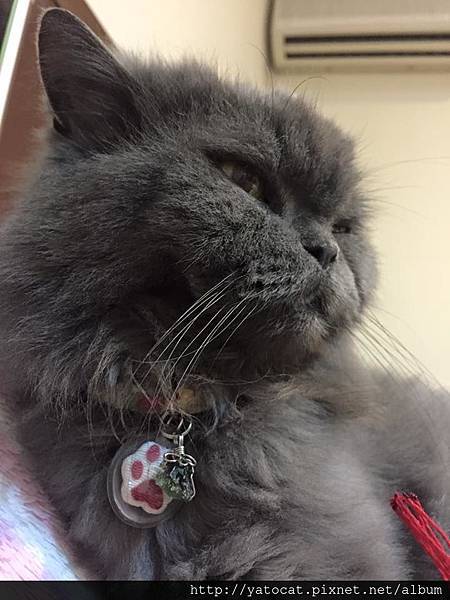 13327477_1225965877414598_7310722401097927146_n 13327477_1225965877414598_7310722401097927146_n