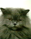 20060617丫頭女王大頭照