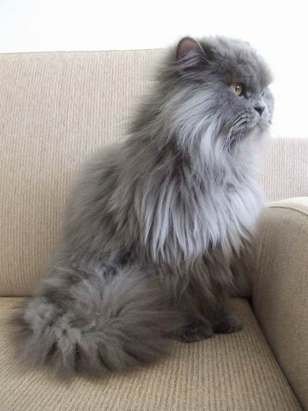 熊：點點說的鴿子都沒飛來窗前