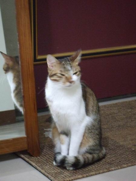 MOMO：狗仔歐巴桑很煩耶(搖頭中)