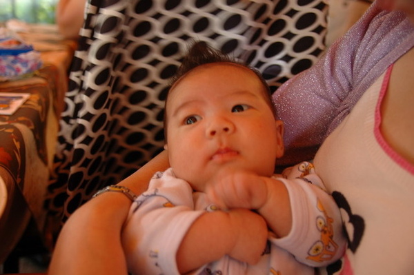 小毛在我懷裡東張西望