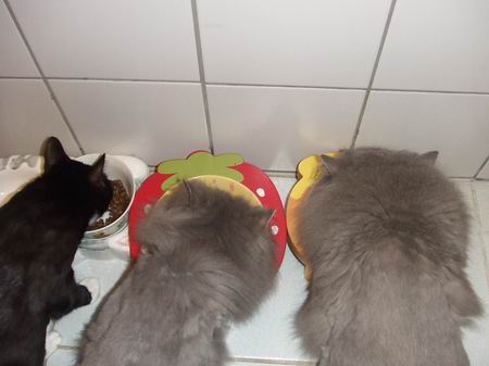 一人一碗阿～～