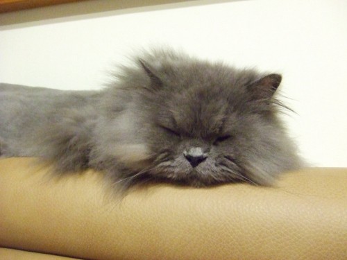 ZZZZZZZZZZZZZZ