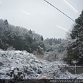 窗外的美麗雪景