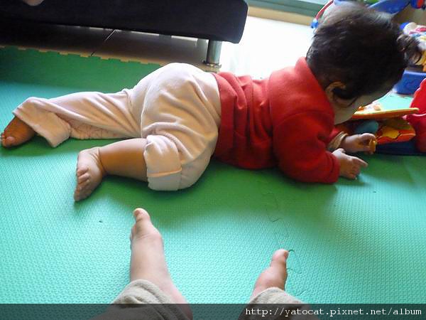 毛毛作品：毛毛拍小豆豆