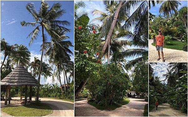 facebook-album-14616064805348575 facebook-album-14616064805348575