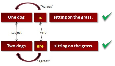 subject_verb_overview