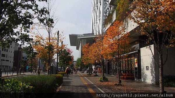 2016東京-晴空塔