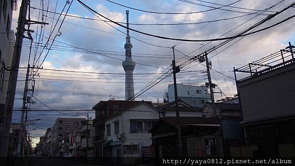 晴空塔 晴空塔
