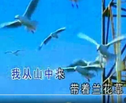 QQ截图20161129173448.jpg QQ截图20161129173448.jpg