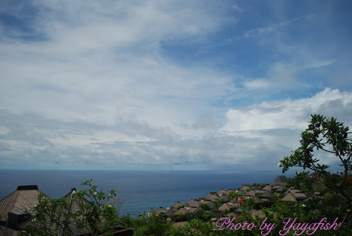 DSC_0718.jpg DSC_0718.jpg