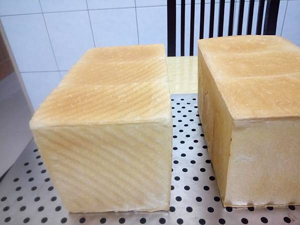 DSC_0328.JPG DSC_0328.JPG