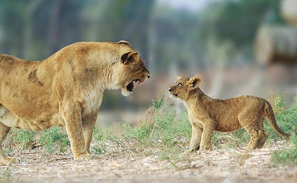 parent-child.jpg parent-child.jpg