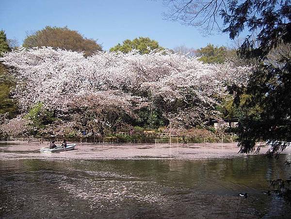 井の頭公園03