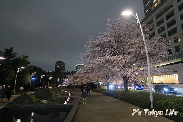 写真 2016-04-02 20 12 17