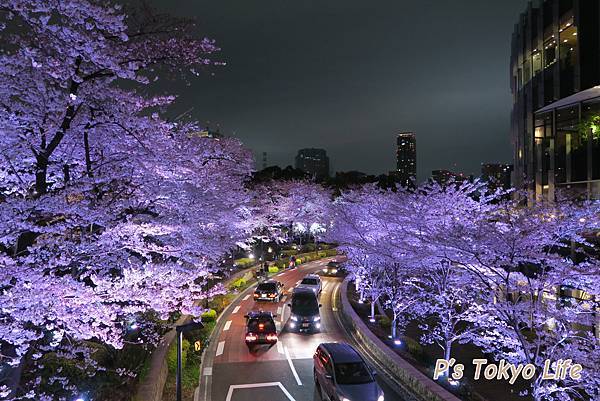 midtown sakura