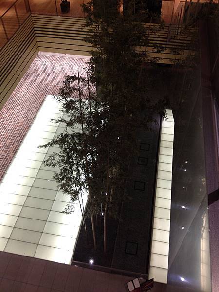 IMG_4824.jpg IMG_4824.jpg