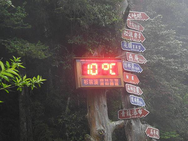 濃霧又飄著細雨