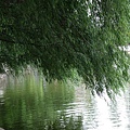 翠湖公園