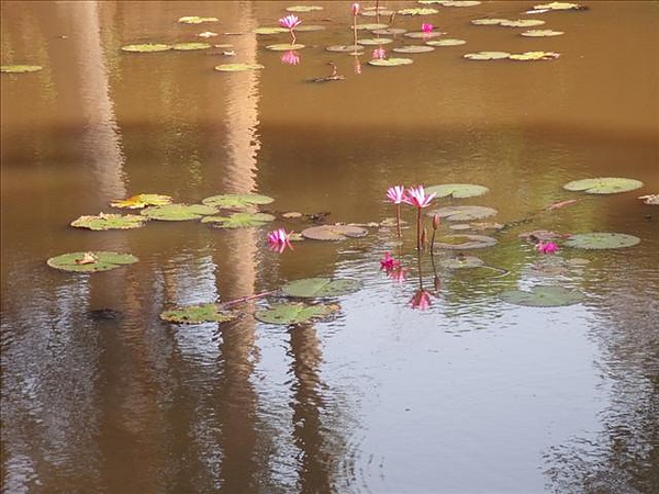 班蒂斯蕾古剎