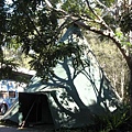 169-1.teepee.JPG