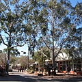 472.Todd Mall.JPG