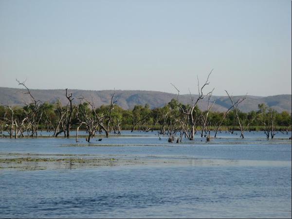 594-2.Lilly Creek Lagoon2.JPG