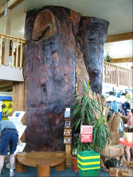 408.Kauri Kingdom.JPG